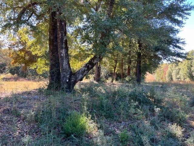0 Unnamed Road Florala, AL 36442 - Photo 8 of 39 Gallery Image 8