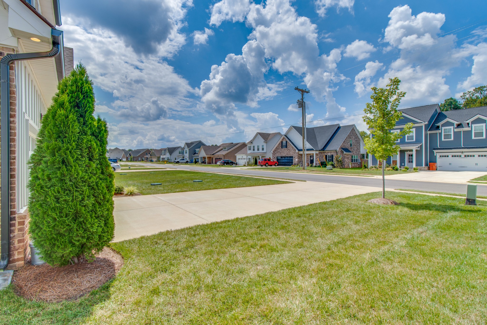 336 Beulah Rose Drive Murfreesboro, TN 37128 - Photo 4 of 42 a view of yard with trampoline
