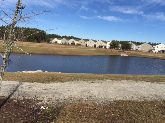134 Decatur Drive Summerville, SC 29486 - Photo 24 of 29 Stocked Pond in Rear of Home