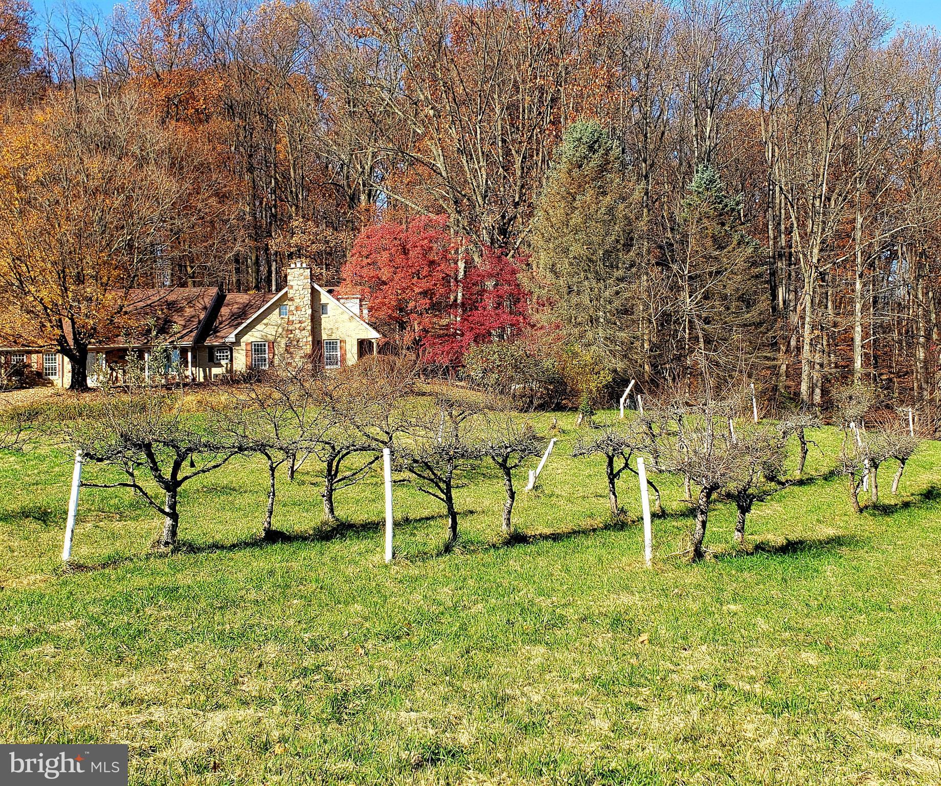 2528 Dixon Road Frederick, MD 21704 - Photo 42 of 45
