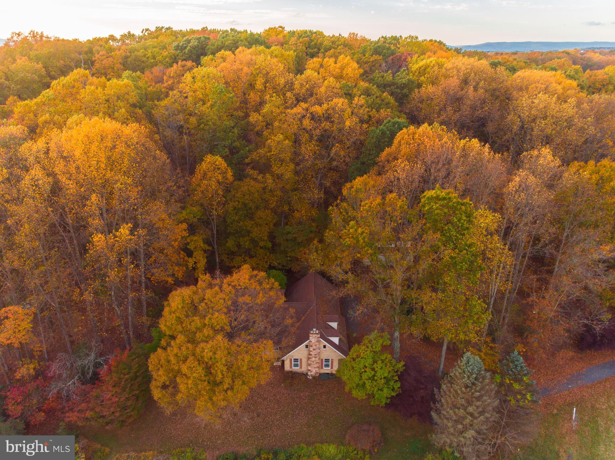 2528 Dixon Road Frederick, MD 21704 - Photo 44 of 45
