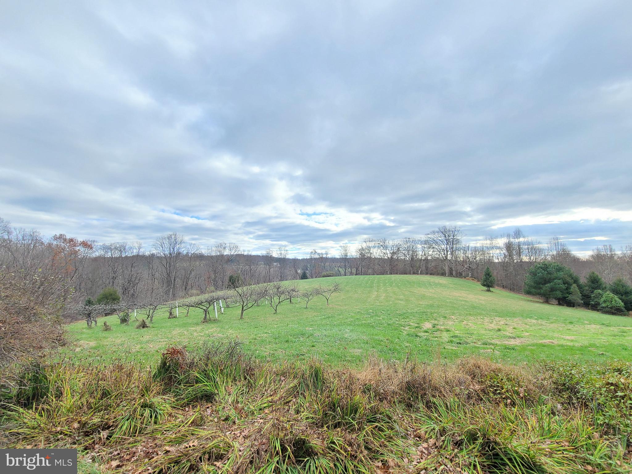 2528 Dixon Road Frederick, MD 21704 - Photo 45 of 45