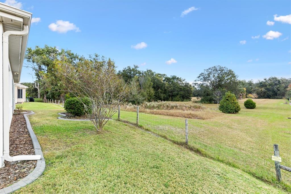 13655 Southeast 97th Terrace Road Summerfield, FL 34491 - Photo 41 of 49 a view of a garden with a slide