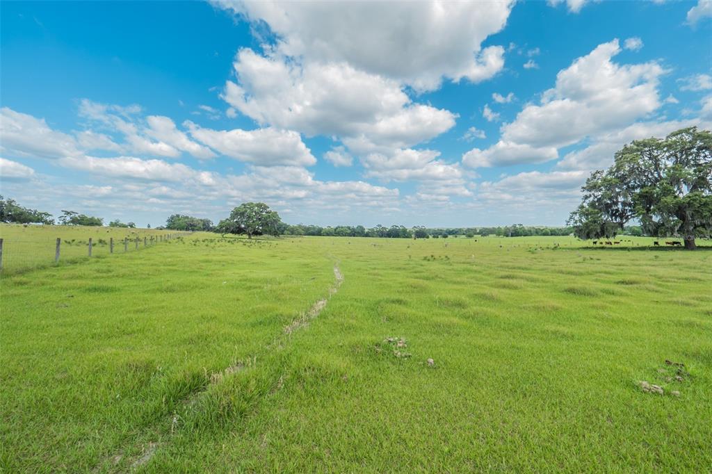 8427 South Pleasant Grove Road Inverness, FL 34452 - Photo 1 of 1 Gallery Image 1