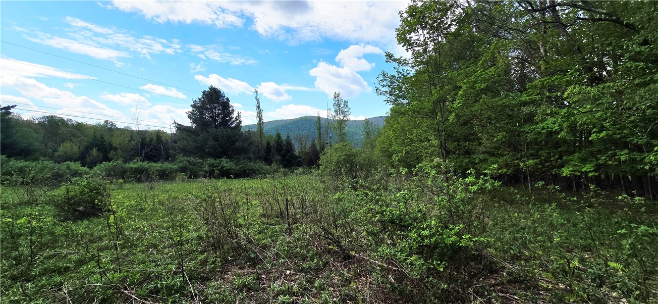Adams Hill Road Hobart, NY 13788 - Photo 11 of 14 SOUTHEASTERLY VIEW