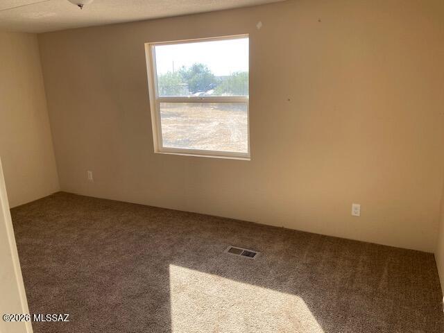 9290 South Avra Road Tucson, AZ 85736 - Photo 9 of 11 bedroom 3