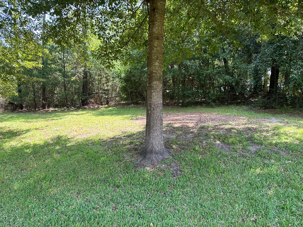 4205 Prevatt Road Cowarts, AL 36321 - Photo 43 of 48