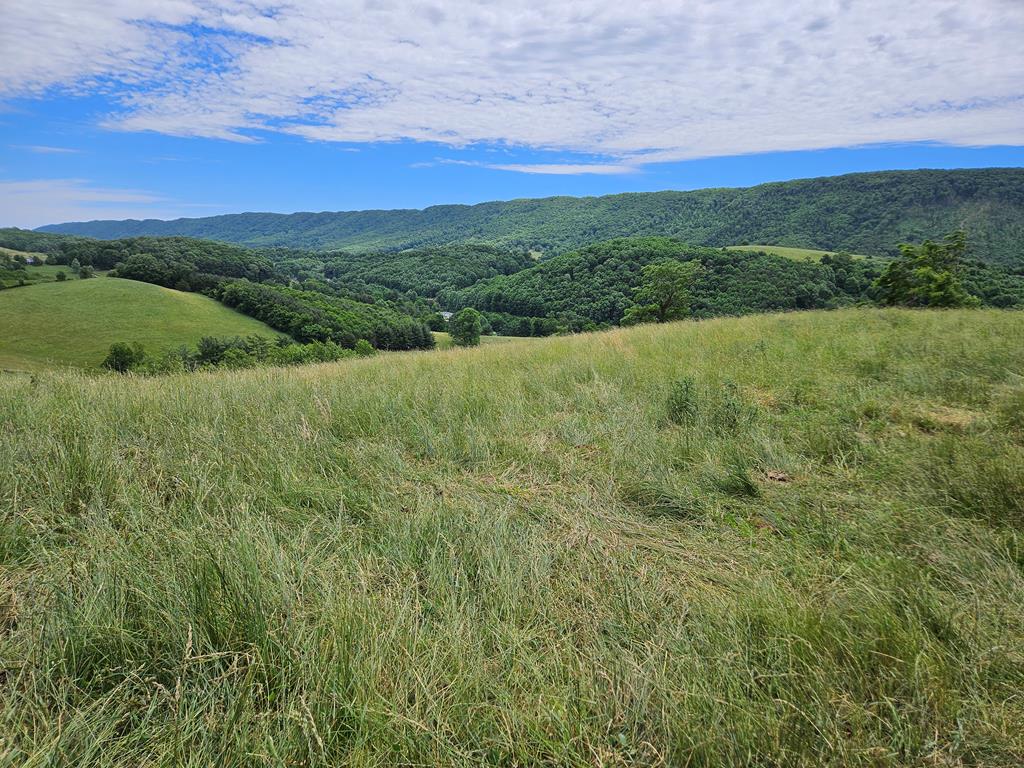 2451 Gratton Road Tazewell, VA 24651 - Photo 47 of 49 Gallery Image 47