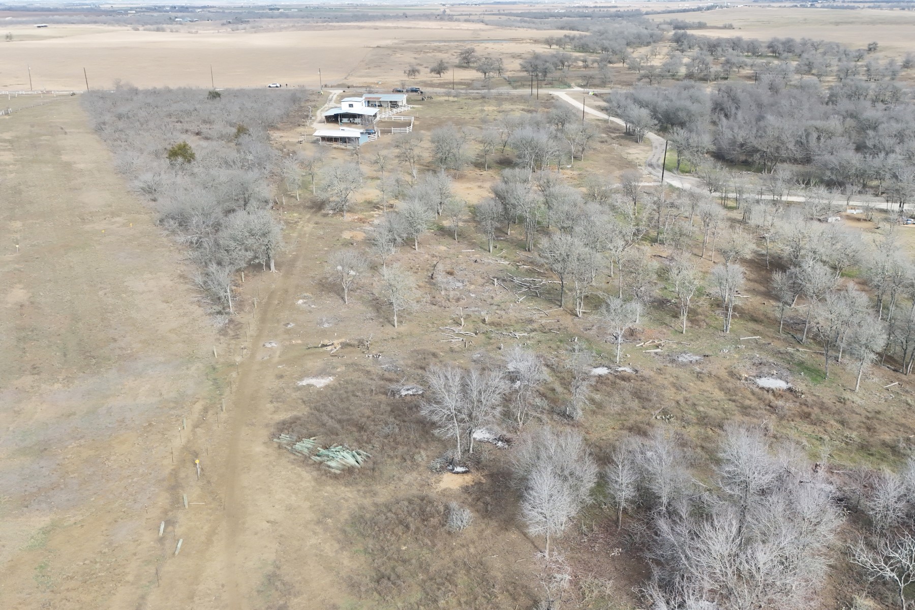 2690 County Road 466 Elgin, TX 78621 - Photo 4 of 19 a view of a dry yard with trees