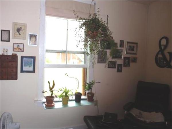 65 Taylor Street Amherst, MA 01002 - Photo 10 of 10 Gallery Image 10