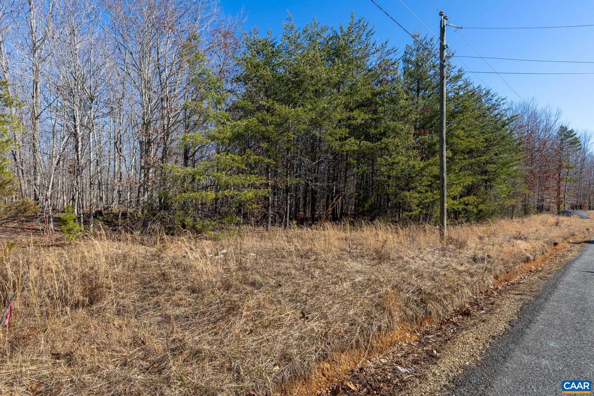 Lot 1 Ivy Road Howardsville, VA 24562 - Photo 31 of 34 a view of a backyard