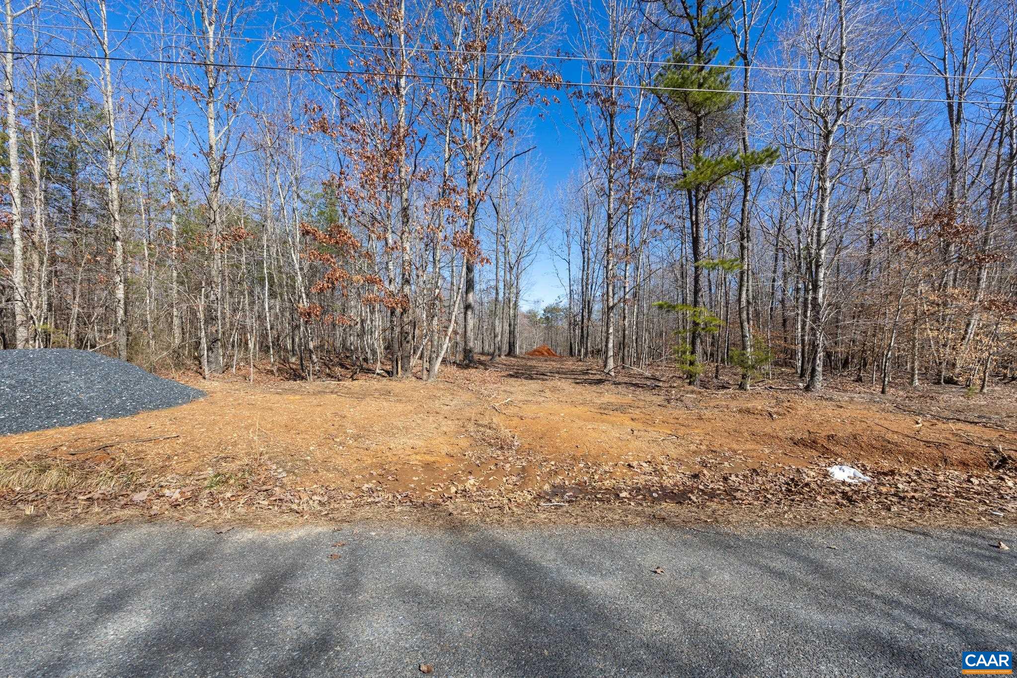 Lot 1 Ivy Road Howardsville, VA 24562 - Photo 32 of 34 a view of a yard with trees