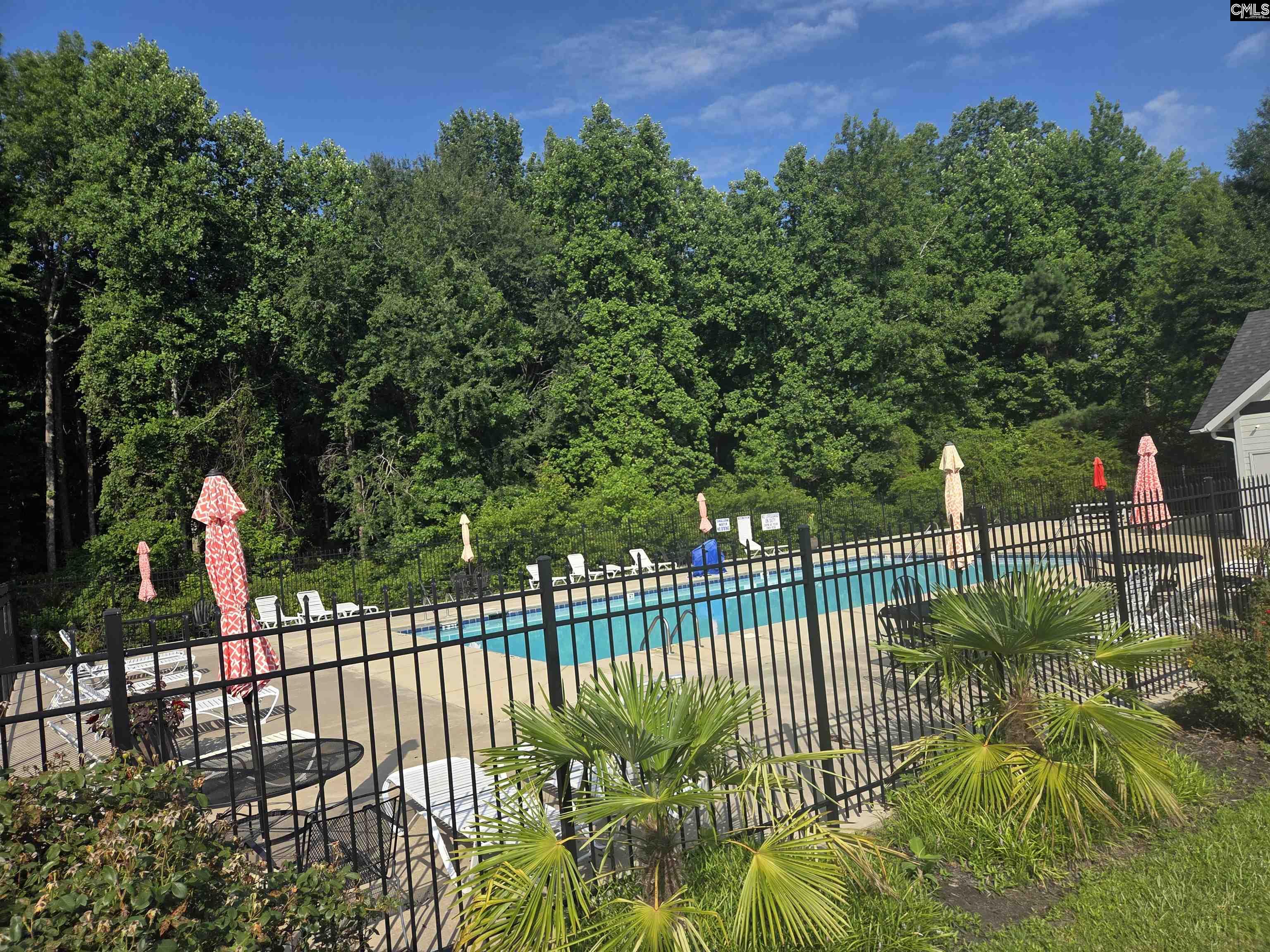 216 Faskin Lane Lexington, SC 29072 - Photo 50 of 60