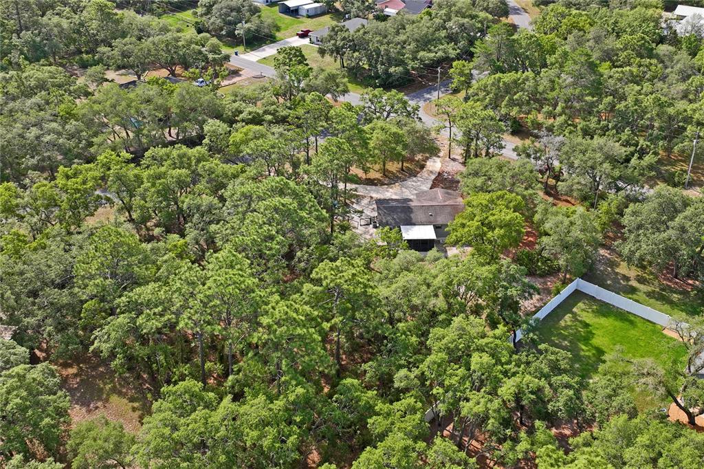 14345 Missouri Skylark Road Weeki Wachee, FL 34614 - Photo 46 of 46