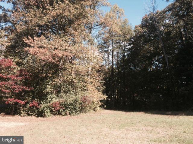 2809 Mountain View Road Stafford, VA 22556 - Photo 10 of 10 Exterior (General)