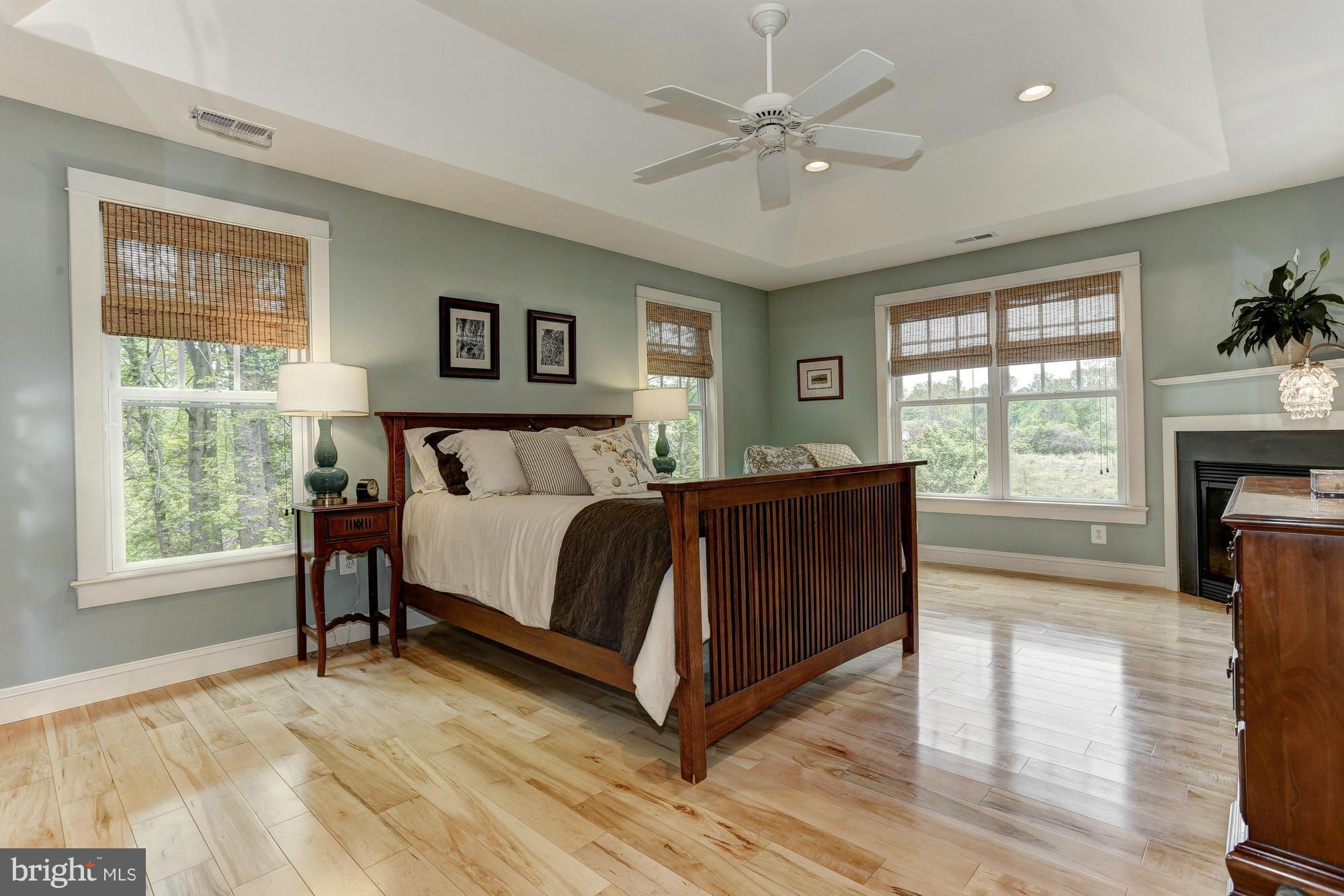 4835 South Polling House Road Lothian, MD 20711 - Photo 19 of 29 Master w/Hardwoods & Gas Fireplace