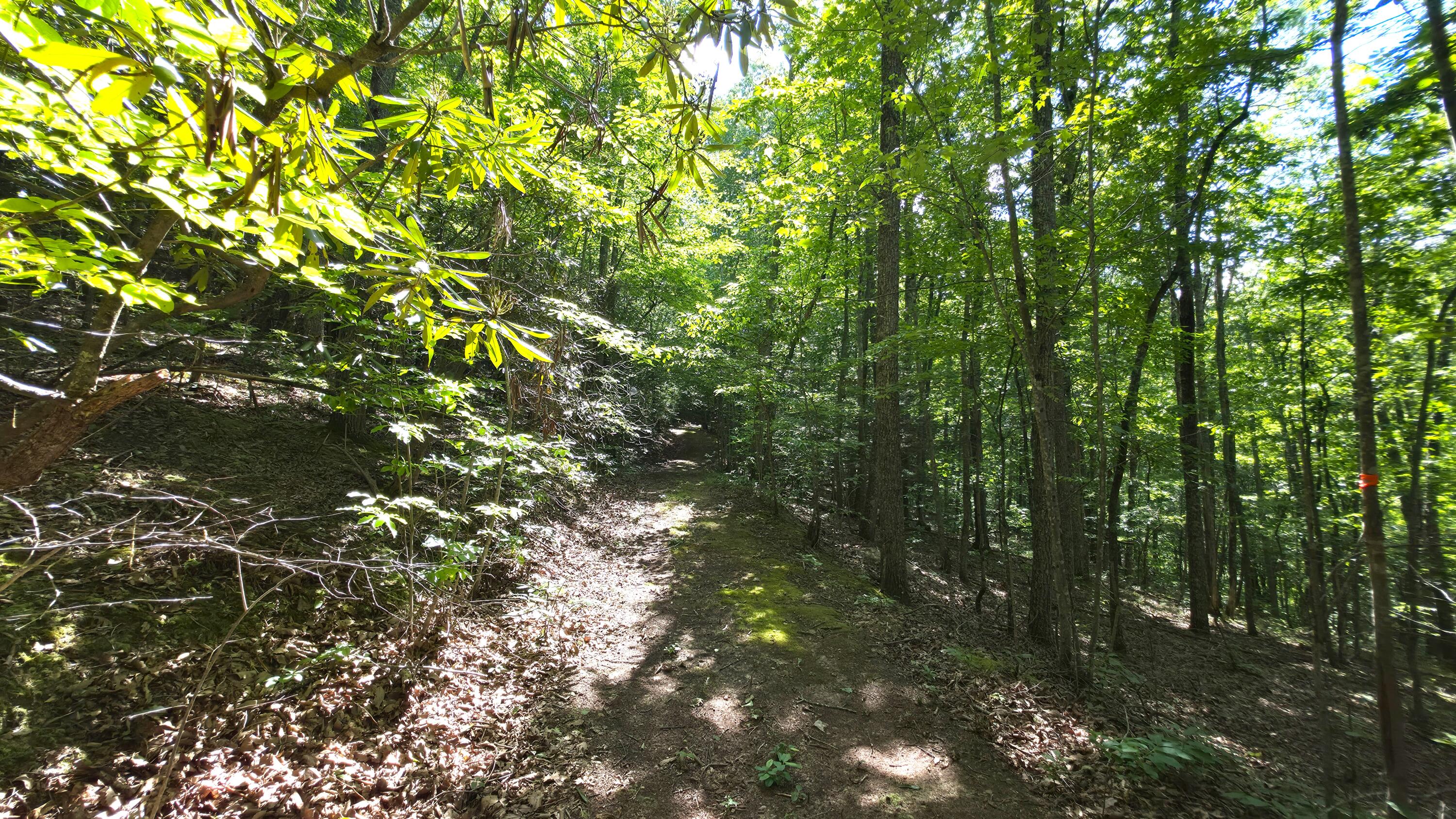 1871 Wayside Talcott Road Wayside, WV 24985 - Photo 68 of 85 Gallery Image 68