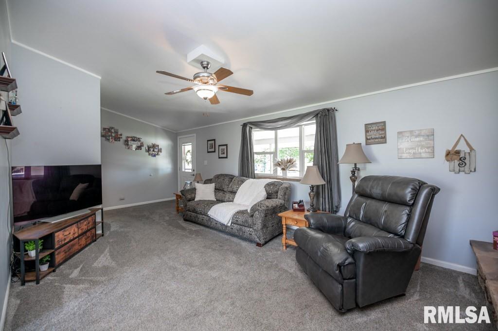 18519 Main Street Trivoli, IL 61569 - Photo 5 of 42