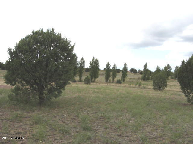425 Rolling Hills Road Young, AZ 85554 - Photo 7 of 11 IMG_0034