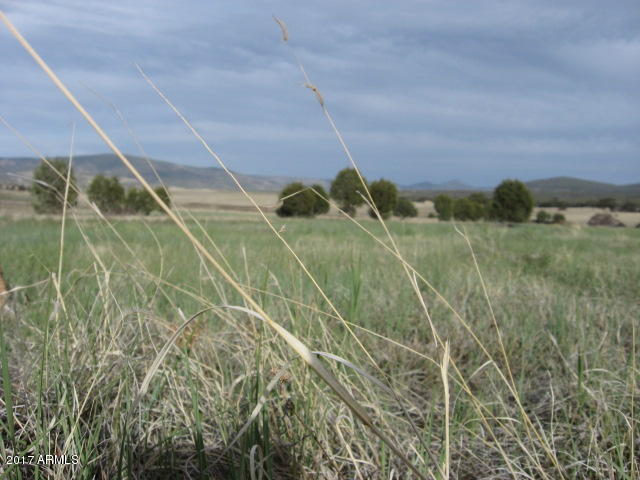 425 Rolling Hills Road Young, AZ 85554 - Photo 8 of 11 IMG_3271