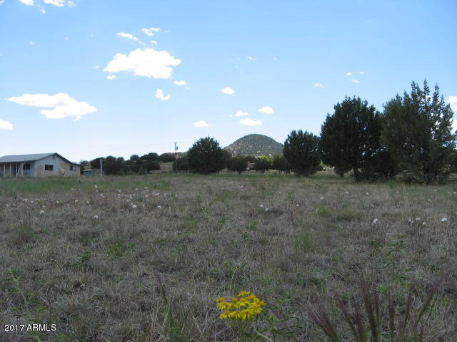 425 Rolling Hills Road Young, AZ 85554 - Photo 9 of 11 IMG_3579