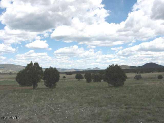 425 Rolling Hills Road Young, AZ 85554 - Photo 10 of 11 IMG_3583