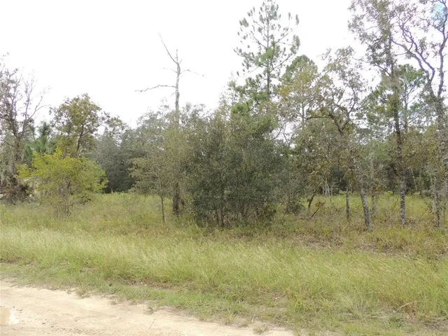 $27,000 | 690 Northeast 135th Court, Williston, FL 32696