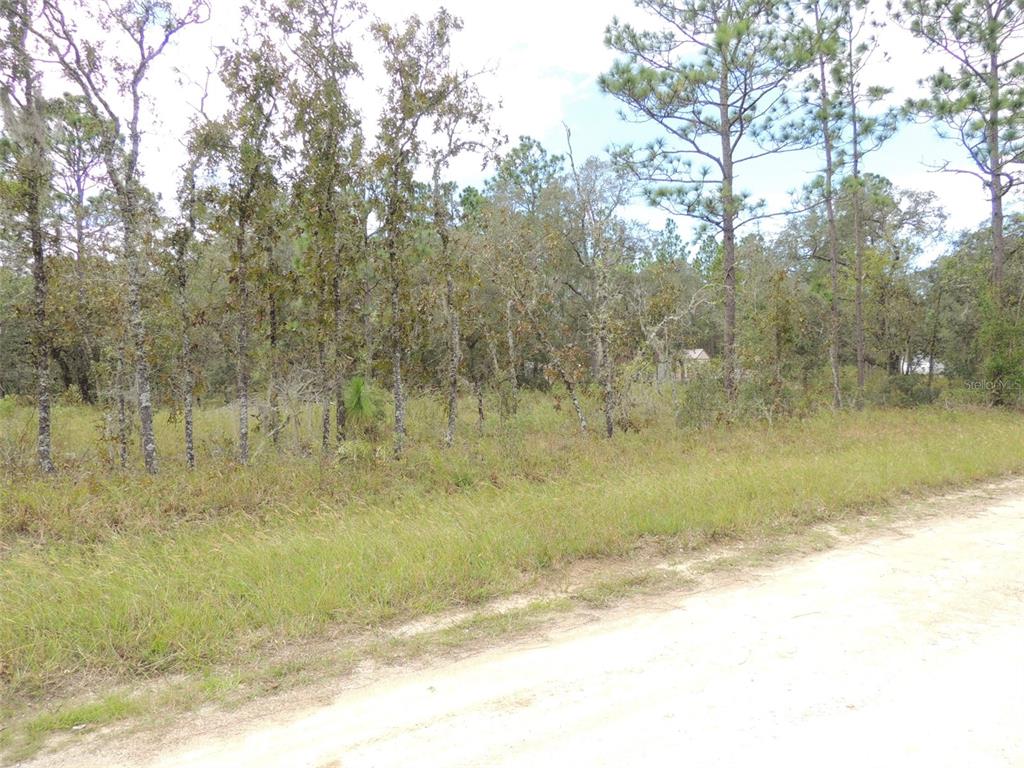 690 Northeast 135th Court Williston, FL 32696 - Photo 6 of 6