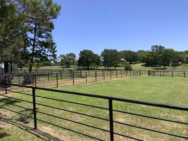 a view of a tennis ground with a large tree