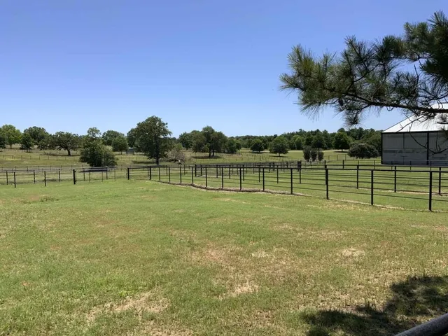 a view of a green field