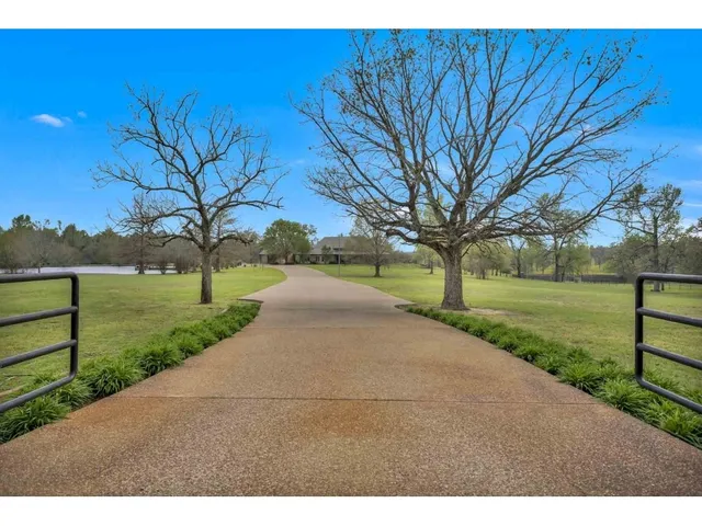 a view of a park with large tree
