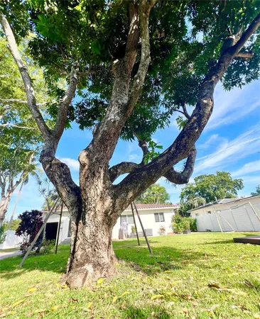 a view of an outdoor space