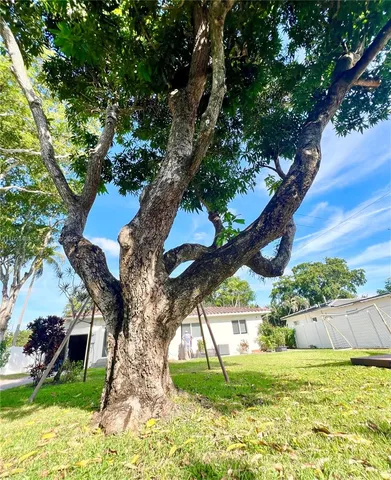 a view of an outdoor space