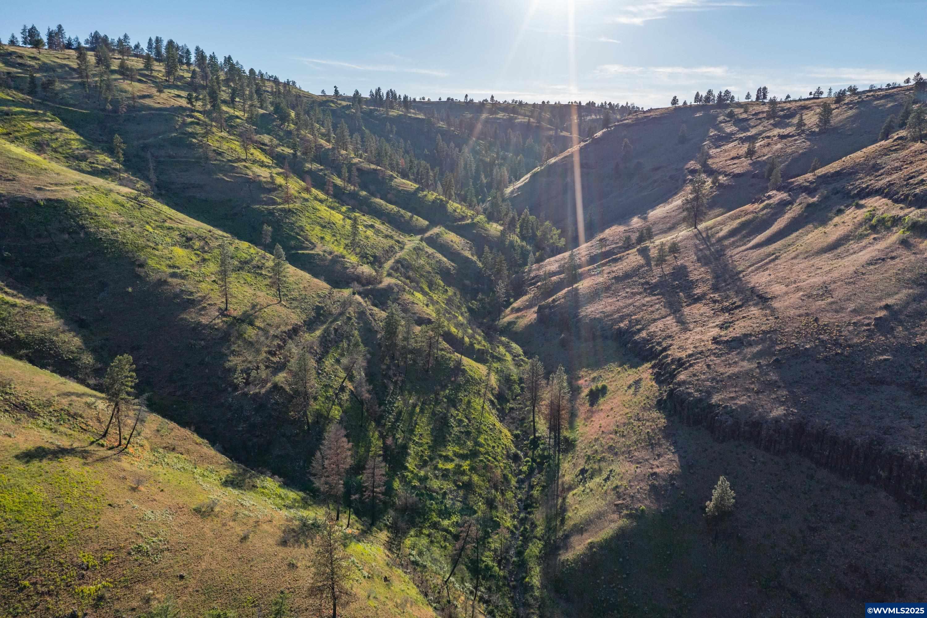 North Fork Road Long Creek, OR 97856 - Photo 6 of 50