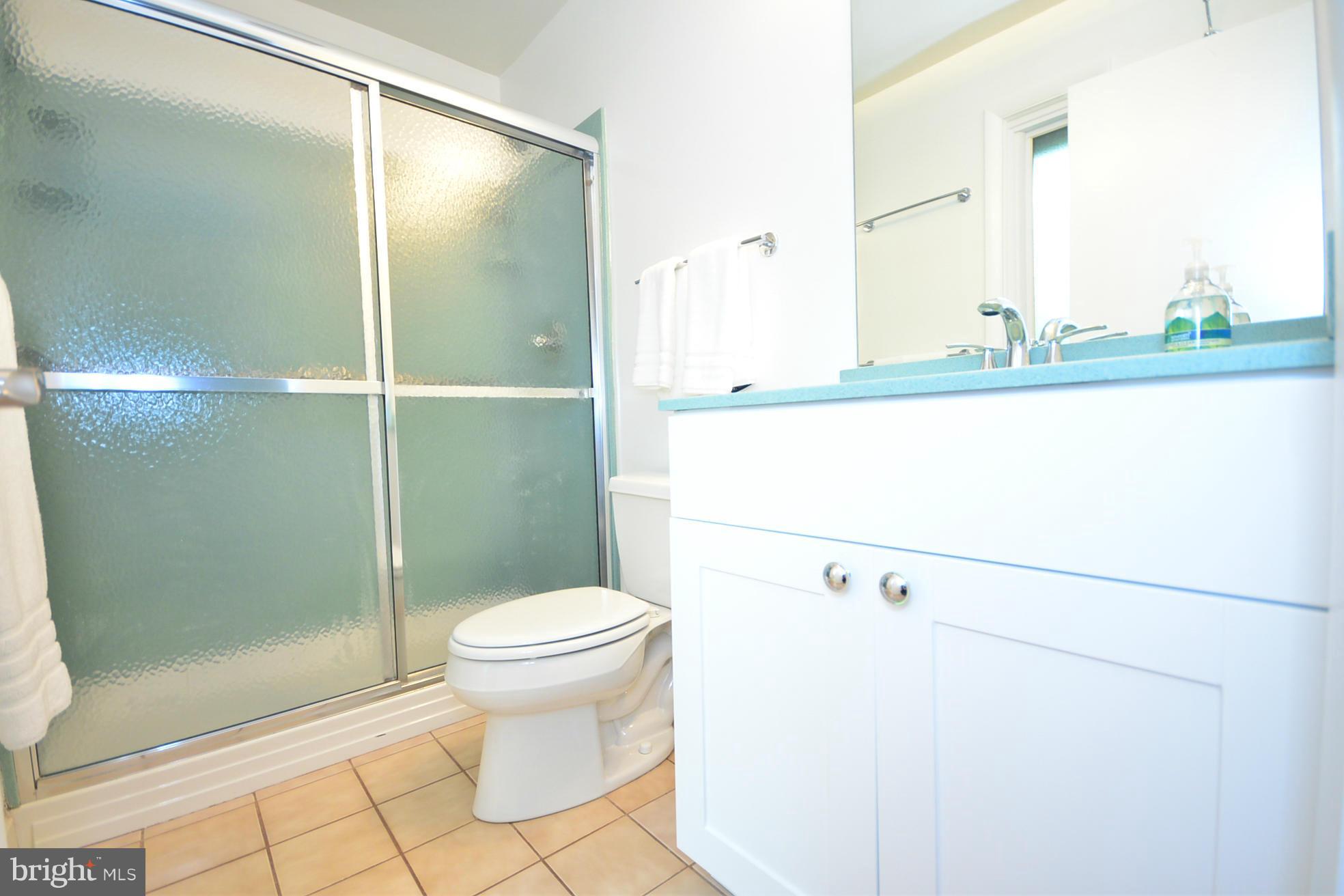 10917 Howland Drive Reston, VA 20191 - Photo 11 of 26 Bath (Master)