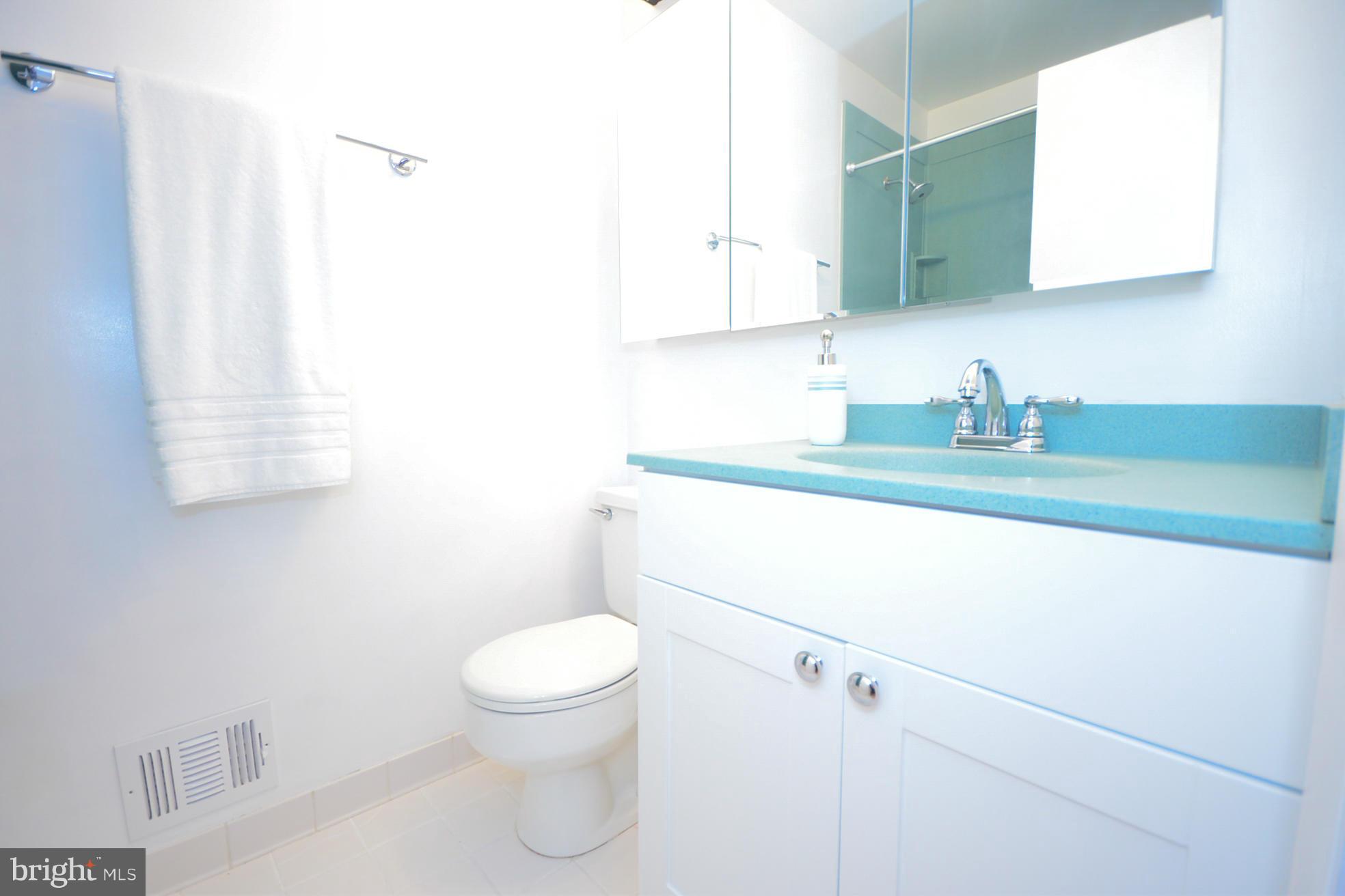 10917 Howland Drive Reston, VA 20191 - Photo 14 of 26 Bath
