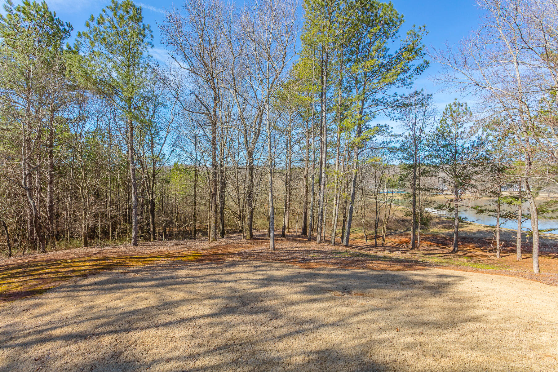120 Golf View Drive Cohutta, GA 30710 - Photo 60 of 75 120 Golf View HD-26