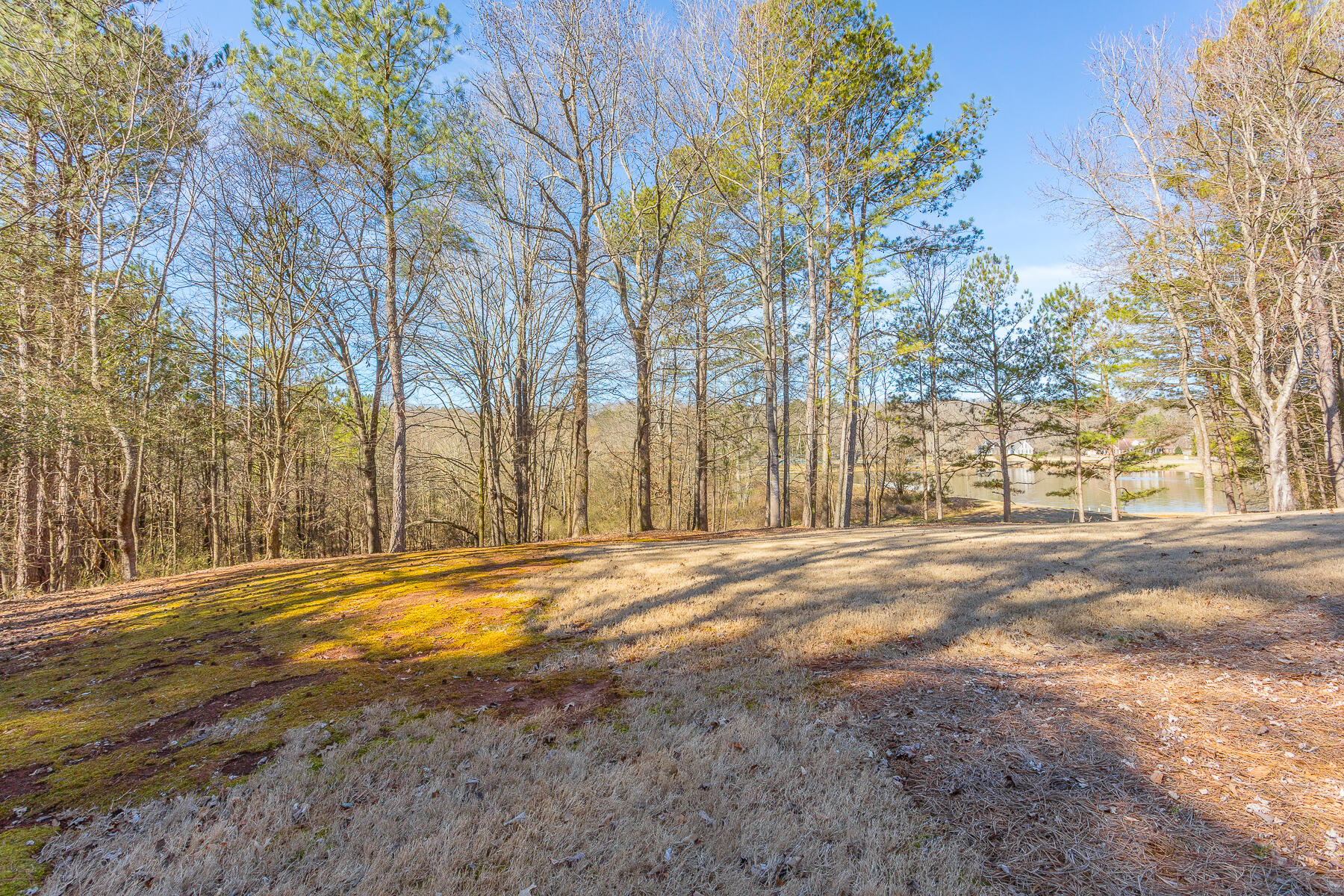 120 Golf View Drive Cohutta, GA 30710 - Photo 61 of 75 120 Golf View HD-17