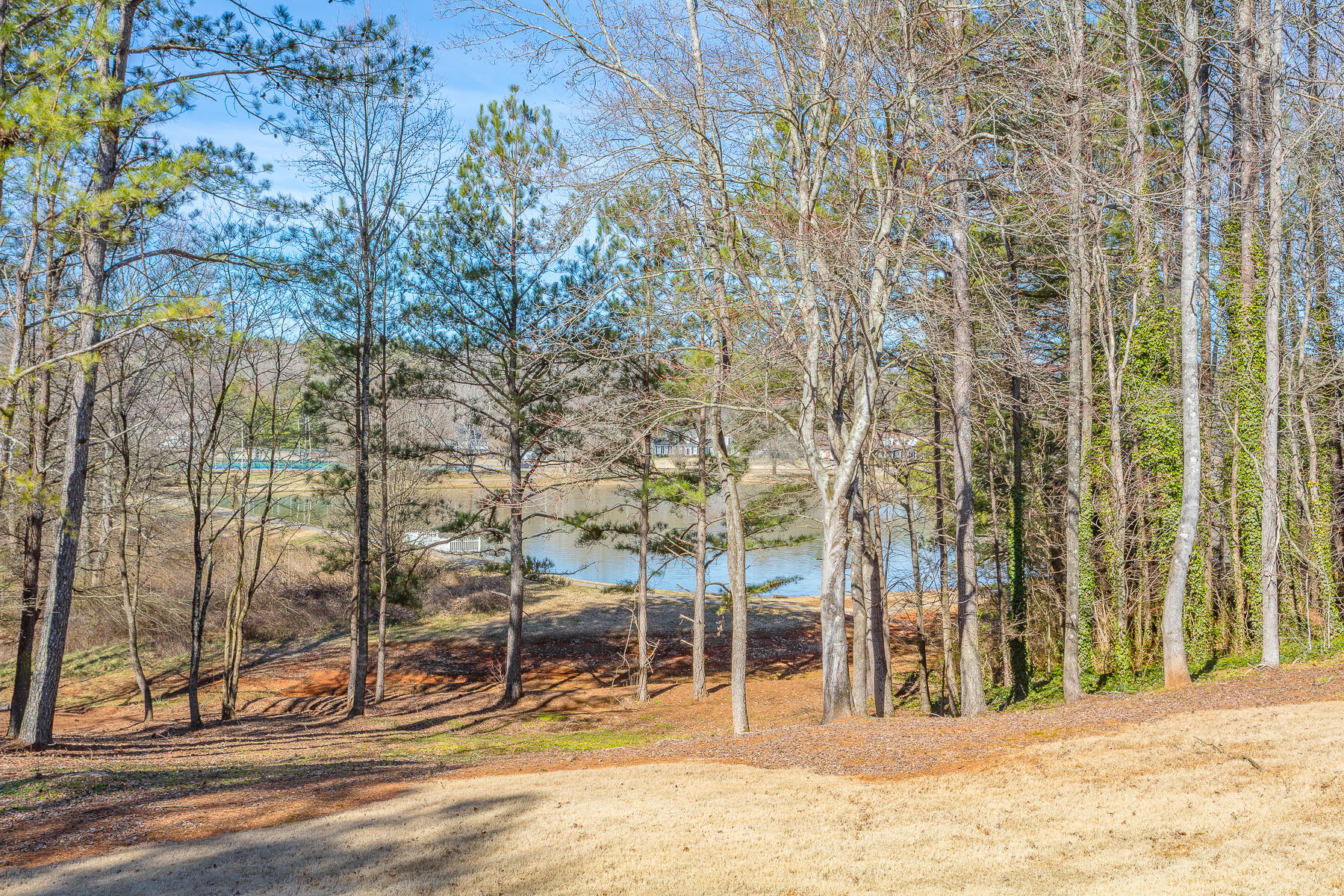 120 Golf View Drive Cohutta, GA 30710 - Photo 62 of 75 120 Golf View HD-27