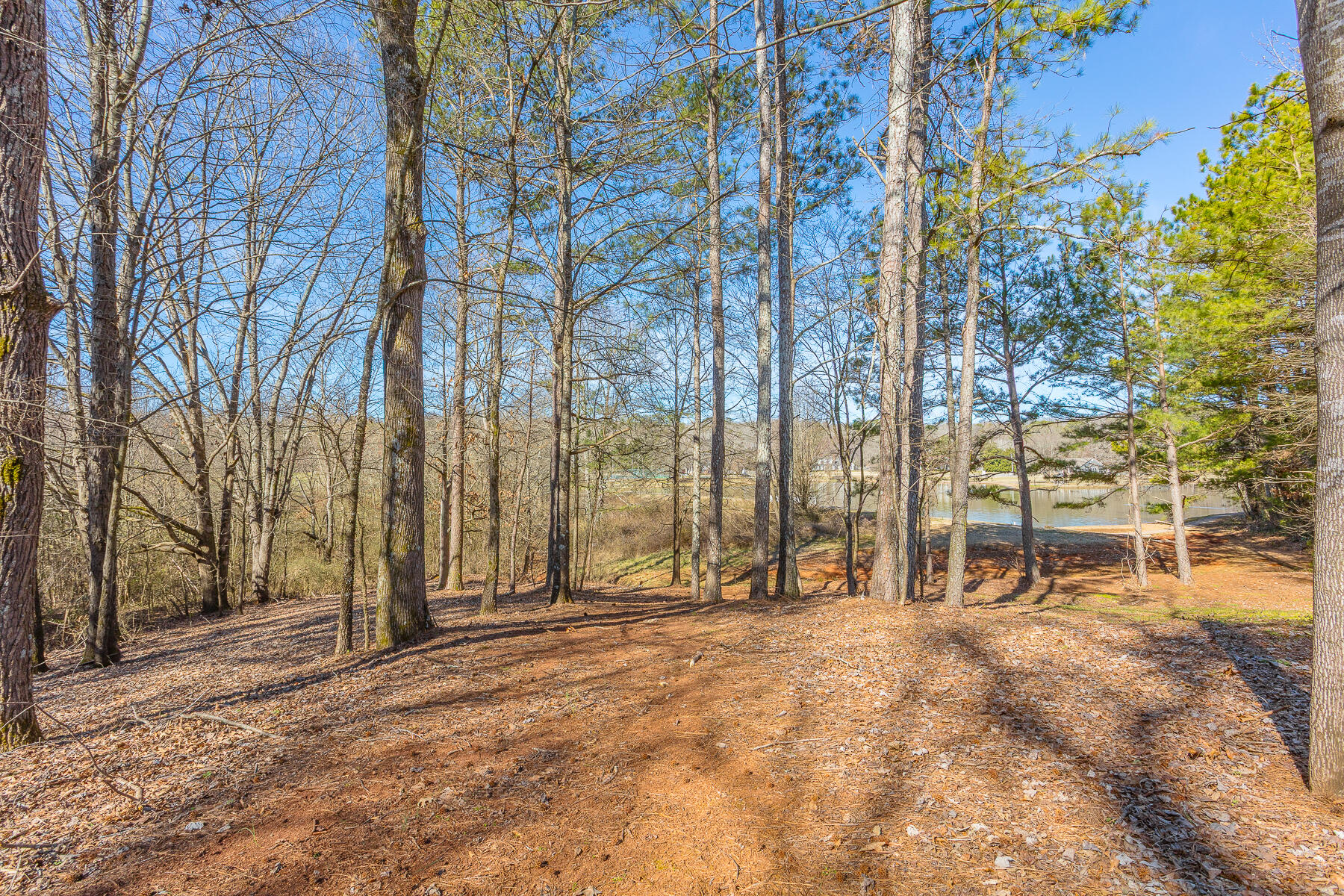 120 Golf View Drive Cohutta, GA 30710 - Photo 63 of 75 120 Golf View HD-18