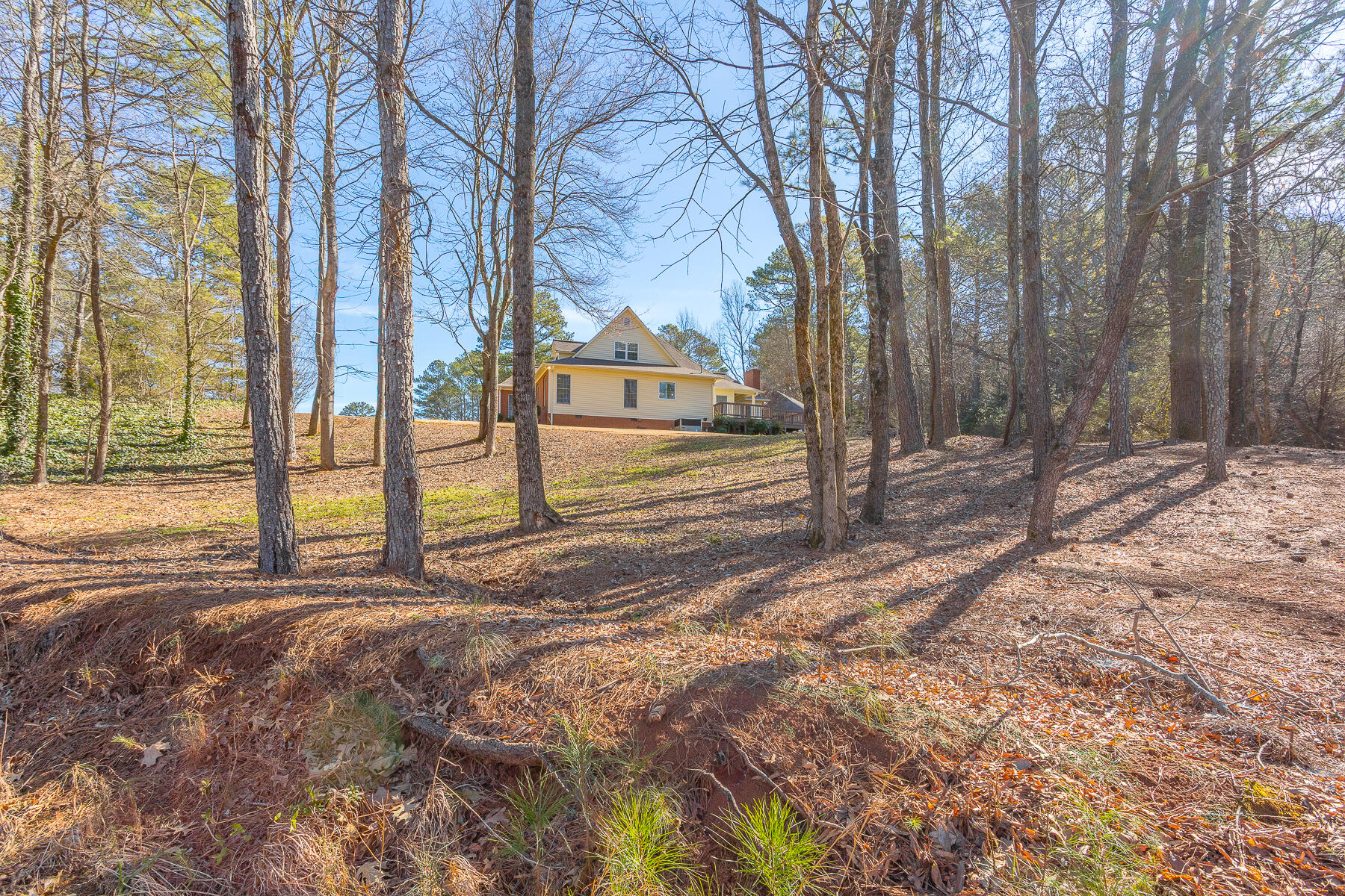 120 Golf View Drive Cohutta, GA 30710 - Photo 64 of 75 120 Golf View HD-19