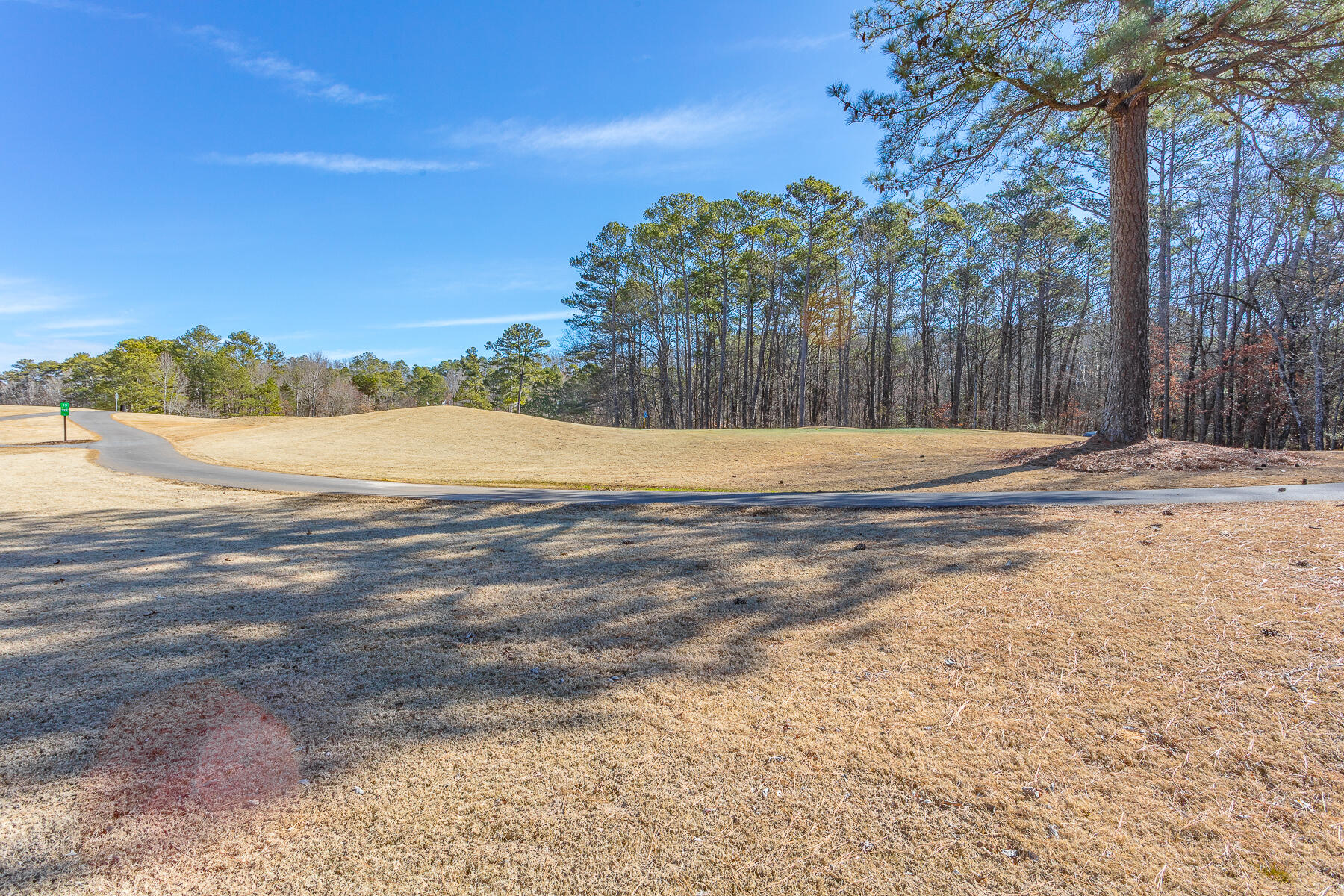 120 Golf View Drive Cohutta, GA 30710 - Photo 9 of 75 120 Golf View HD-3