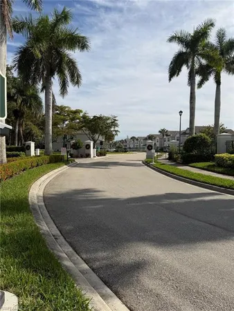 a view of a yard with palm trees
