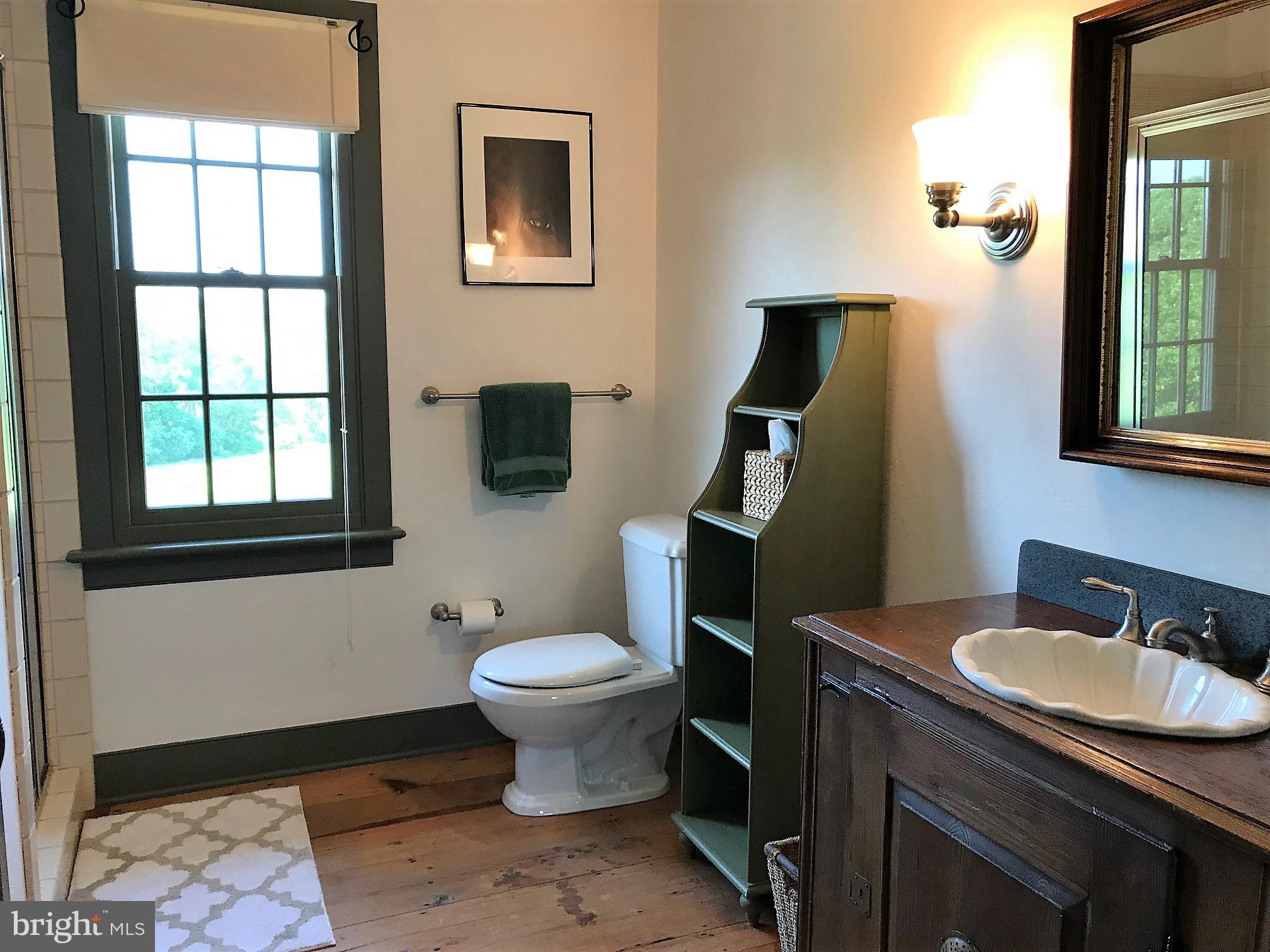 1425 Birchrun Road Chester Springs, PA 19425 - Photo 38 of 59 2nd Floor original Master Bathroom