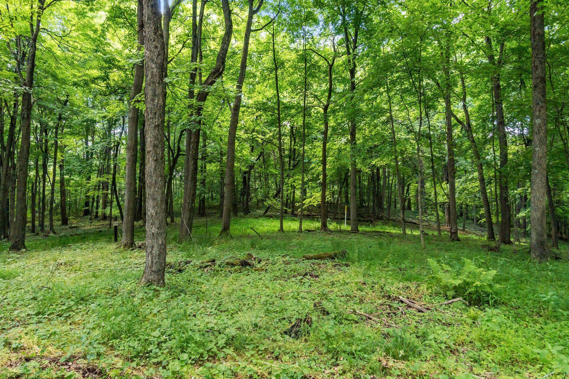13807 Marshall Road Rockbridge, OH 43149 - Photo 19 of 33