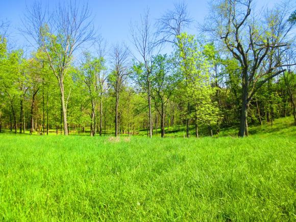 19269 Platt Road Aurora, IN 47001 - Photo 4 of 5
