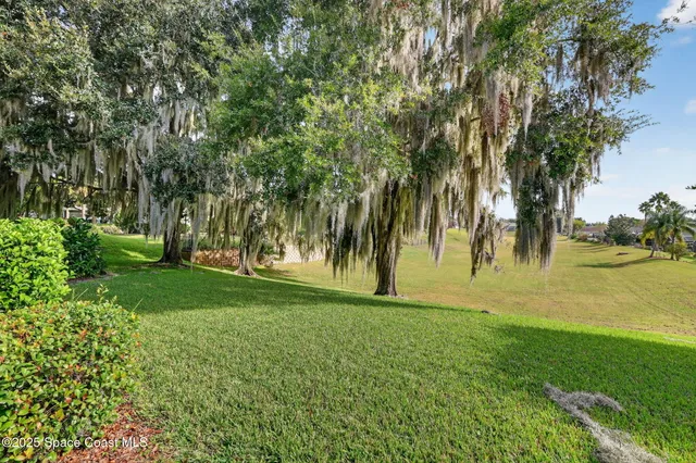 a view of park space