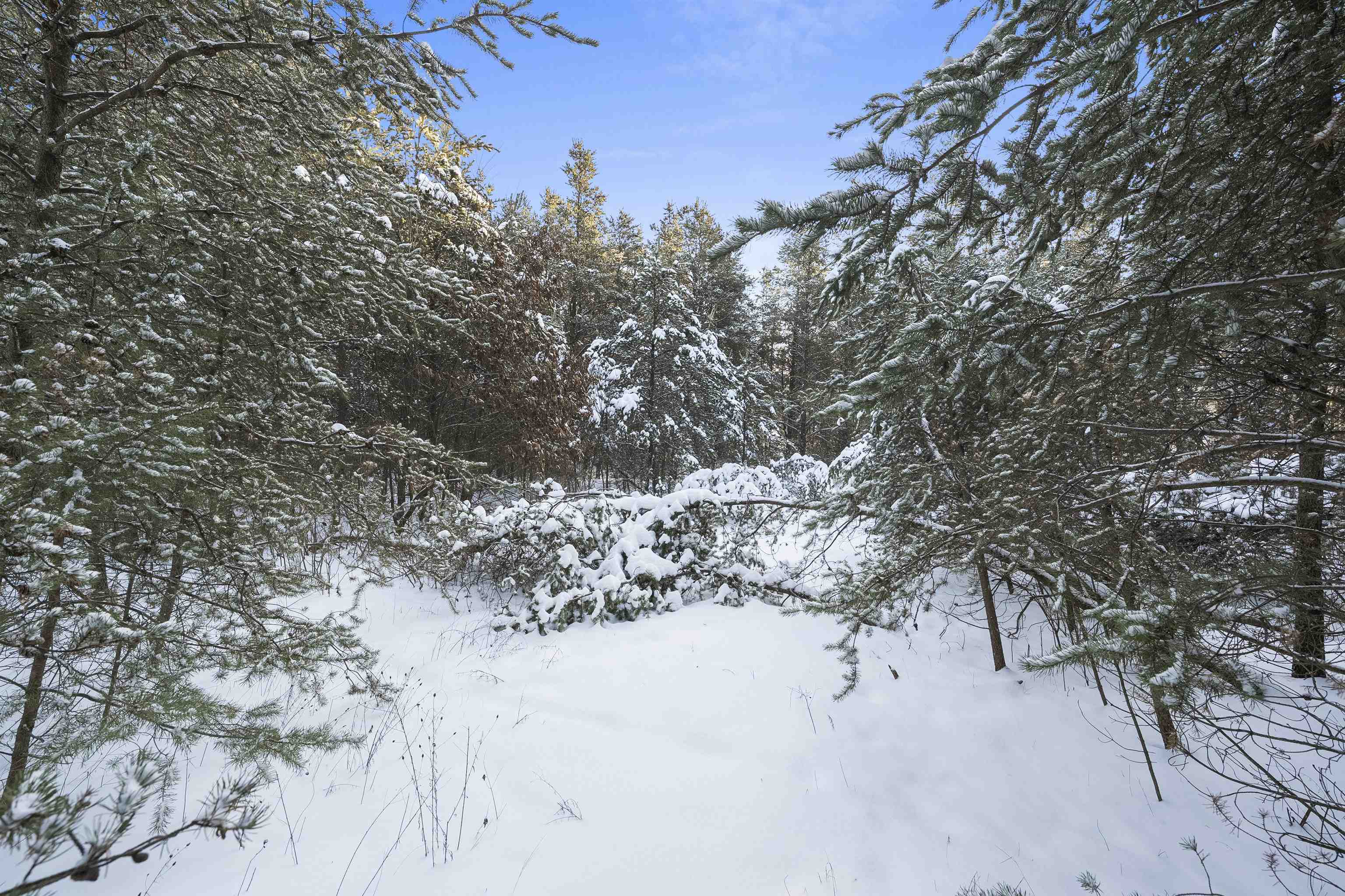 Mead Lane, Unit 20 Crivitz, WI 54114 - Photo 11 of 26