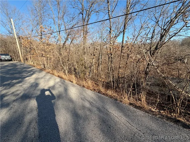$24,999 | Tbd Scenic Drive, Eldon, MO 65026