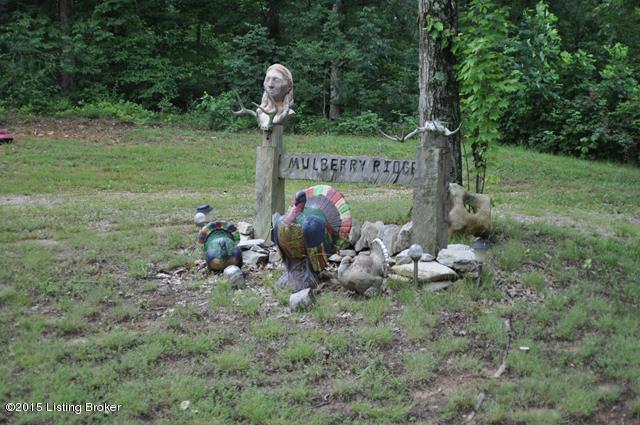 1865 Singleton Road Battletown, KY 40104 - Photo 28 of 36 DSC_0080 (Copy)